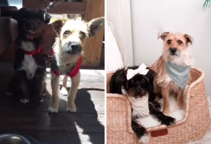 We Have The Best Life Now!