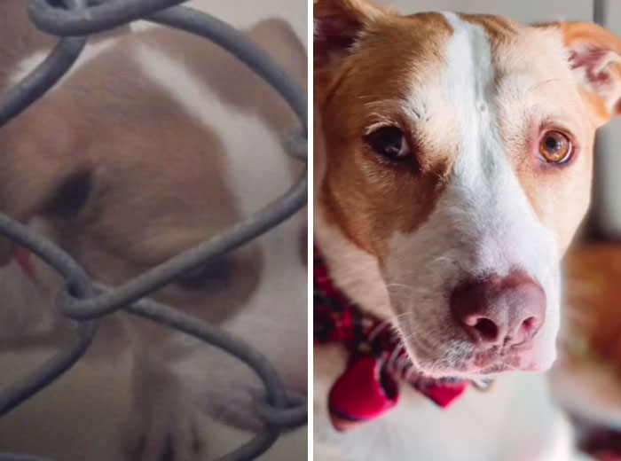 Had To Hop On This One...she Was So Tiny And Loaded With Worms