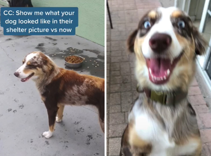 She Had A Bit Of A Glow Up