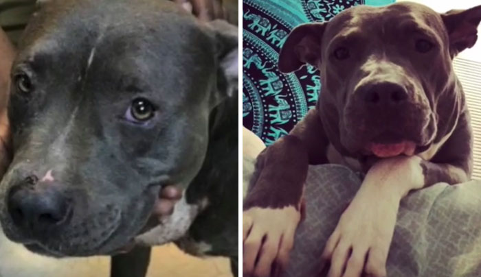 Best Decision I Ever Made!