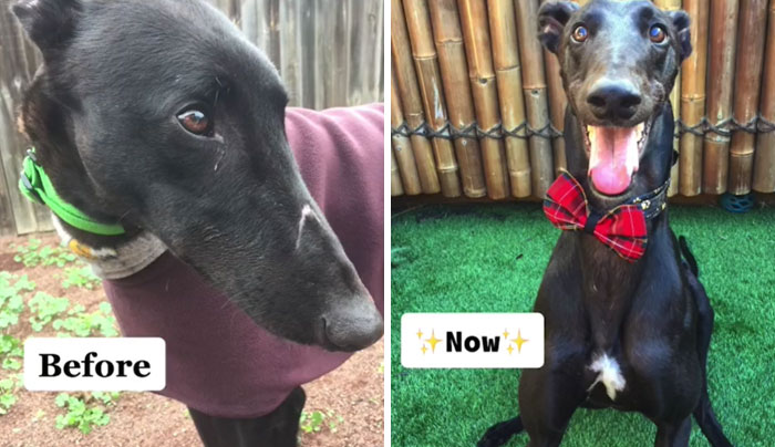 And That’s On Being Rescued!