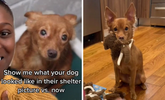 From The Shelter To Having His Own Army
