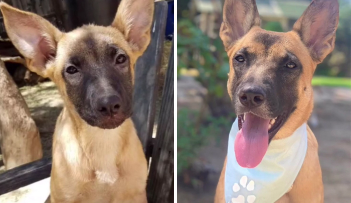 My Baby’s All Grown Up