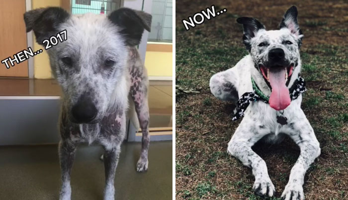 ...and That’s On Adopting. Love Works Wonders