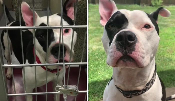 One Mans Trash Is Another’s Treasure!