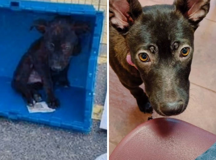 I’m So Proud Of My Boy