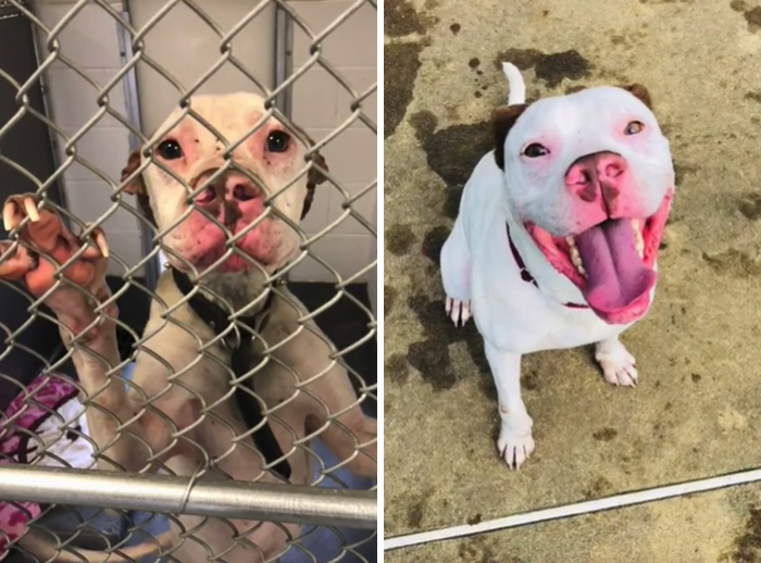 Shelter vs. Now