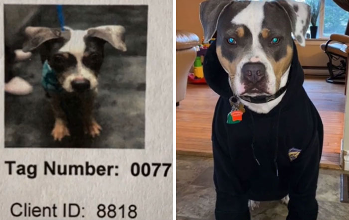 Shelter vs. Now