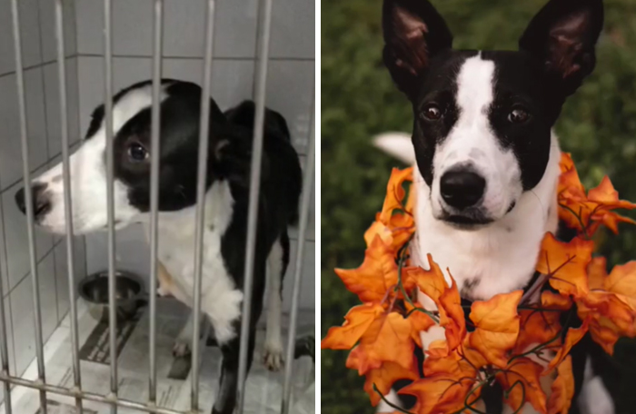 Love My Sweet Girl Nova