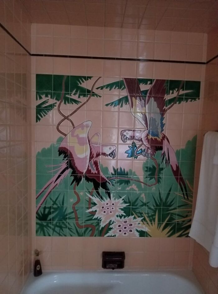 My Parents Bought Their 1950's Home Over 35 Years Ago And The Parrots Are Still In Pristine Condition! So Glad Their Secondhand Home Find Has Remained Intact