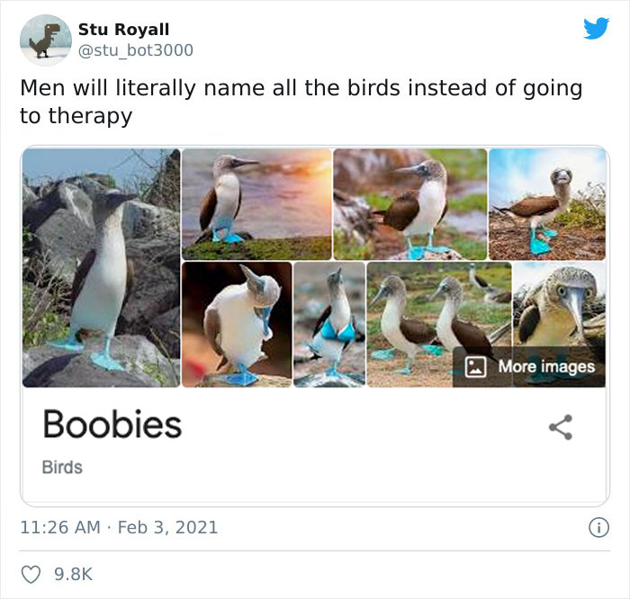 Funny bird names meme showing multiple images of blue-footed boobies.