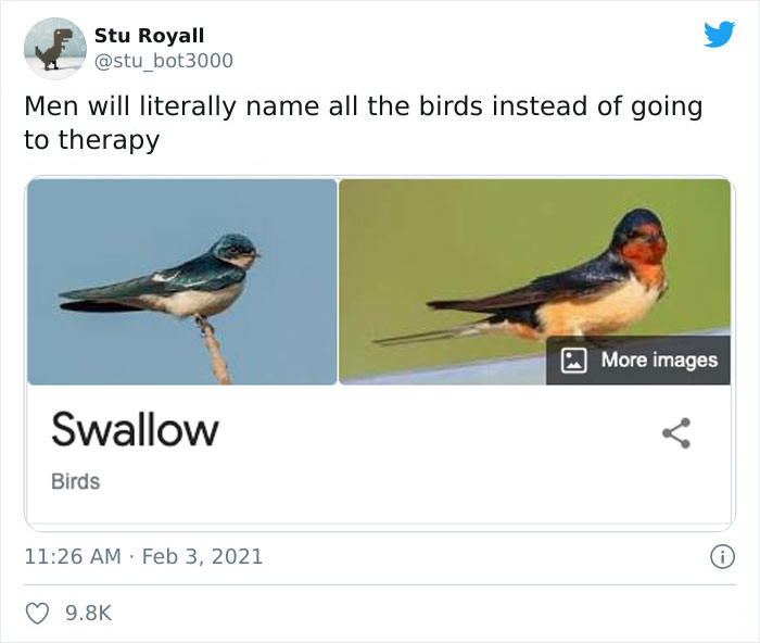 Funny bird meme about naming swallows instead of going to therapy.