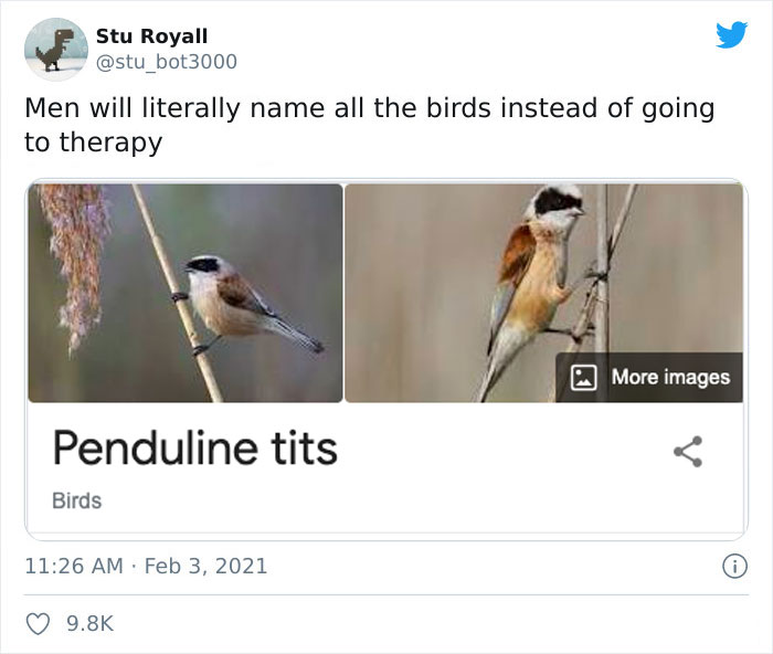 Funny bird names meme featuring Penduline t**s, adding humor to birdwatching.