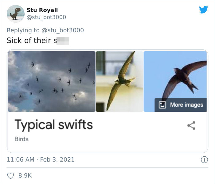 "Funny bird names meme featuring typical swifts with playful caption."