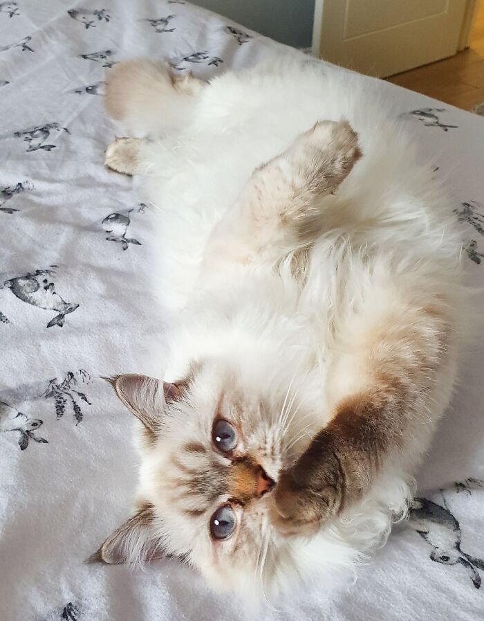 The Problem Is, She Knows She Is Pretty!