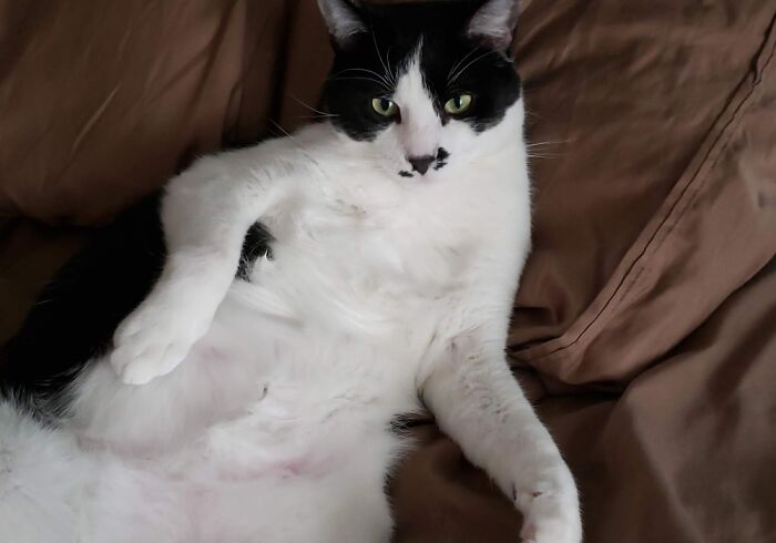 Hey Sweetcheeks! How You Doin'?