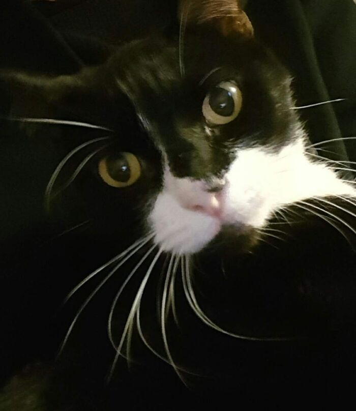 Maggie Mae Wishes Everyone Has An Awesome Day!