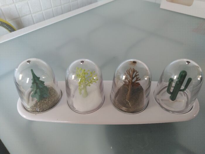 4 Seasons For My Spices