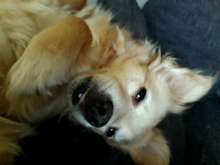 Slightly Biting Her Tongue, We Can Only See The Tip, Never Longer Than This