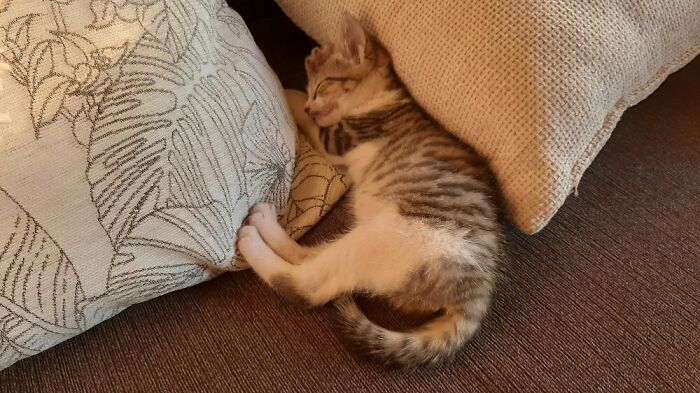 Burra, Greatest Gift Of All Times. 💖💖