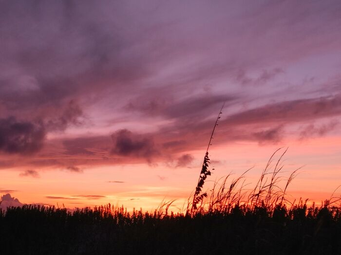 Sunset In The Florida Panhandle
