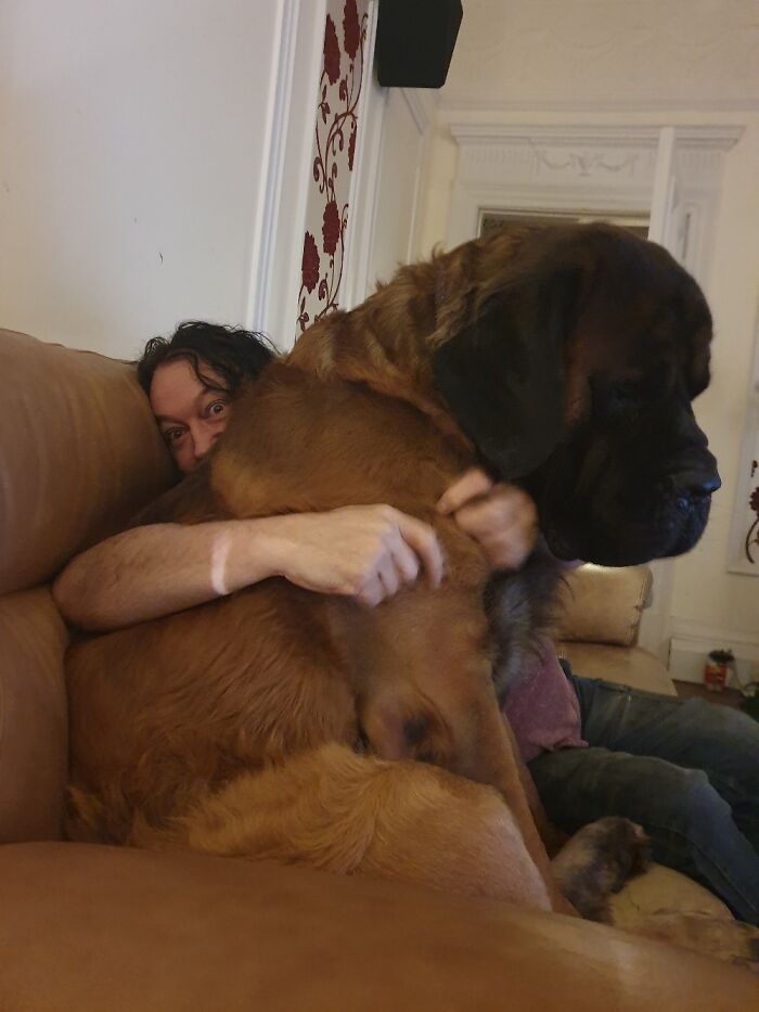 My Little Baby Puppy Grew And Grew!