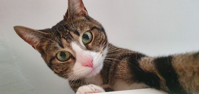 Me, Myselfie And I 😺