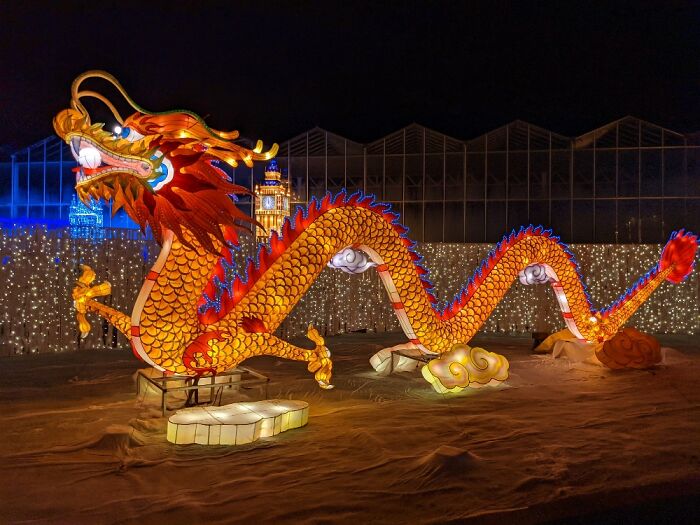 Christmas Light Display