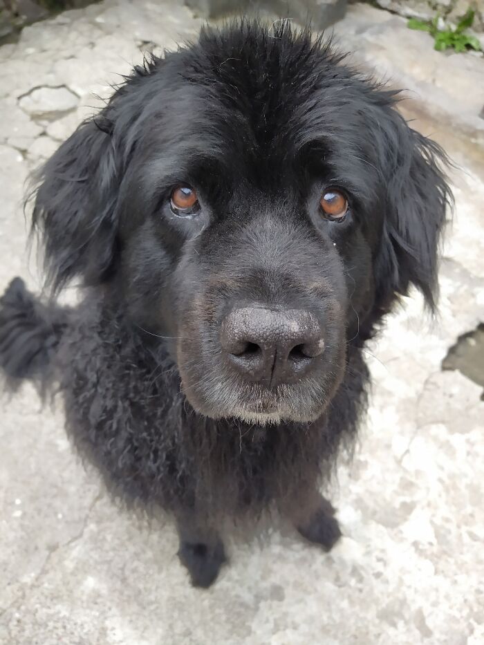 Nancy. Loves All Water Except Those That Are There For Bathing...