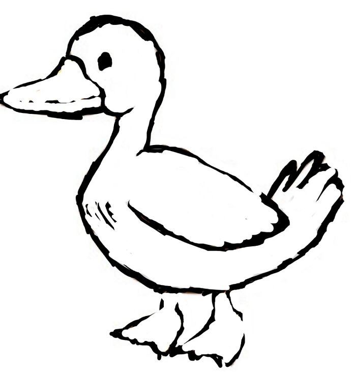 Black And White Duck