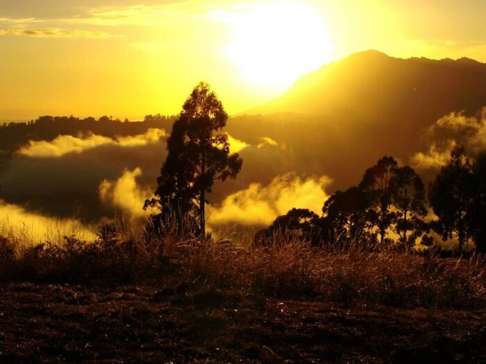 I Was The Only One Awake Early Enough To Enjoy This Beautiful Sunrise At Mt. Roland, Tasmania