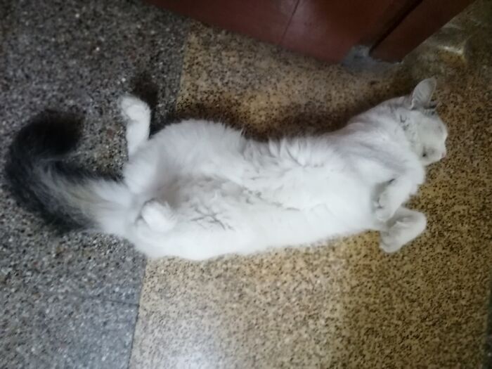 She Sleeps Like She's Auditioning For A Part In Michael Jacksons Thriller