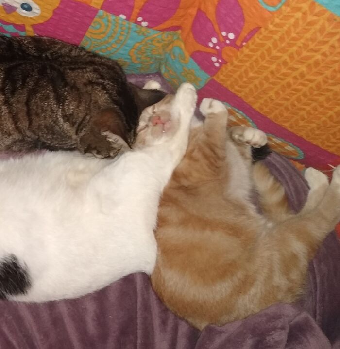 Yes, I Am Very Comfortable