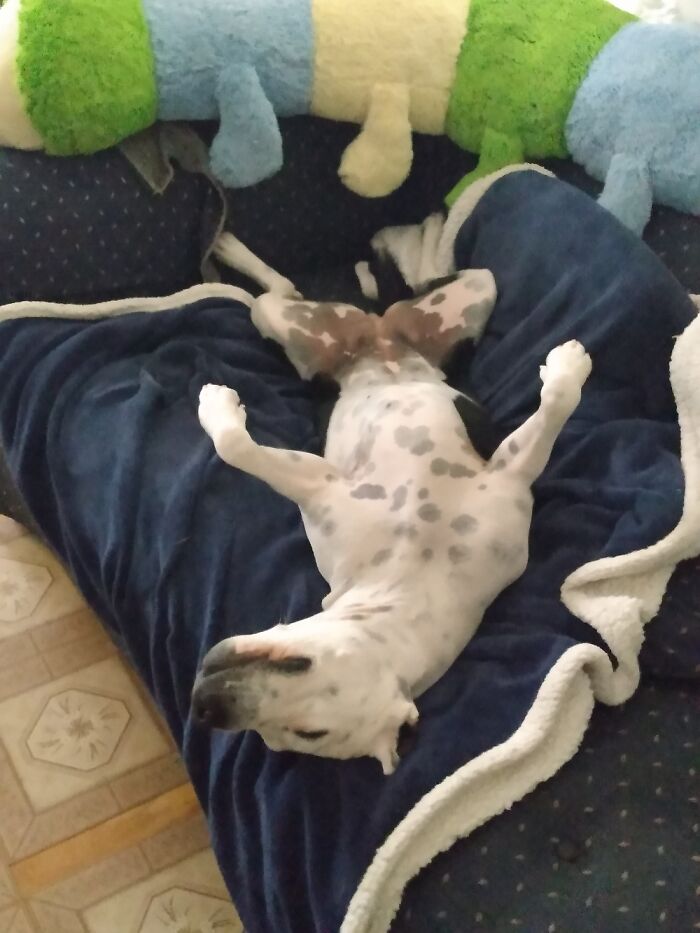 Living And Loving Life