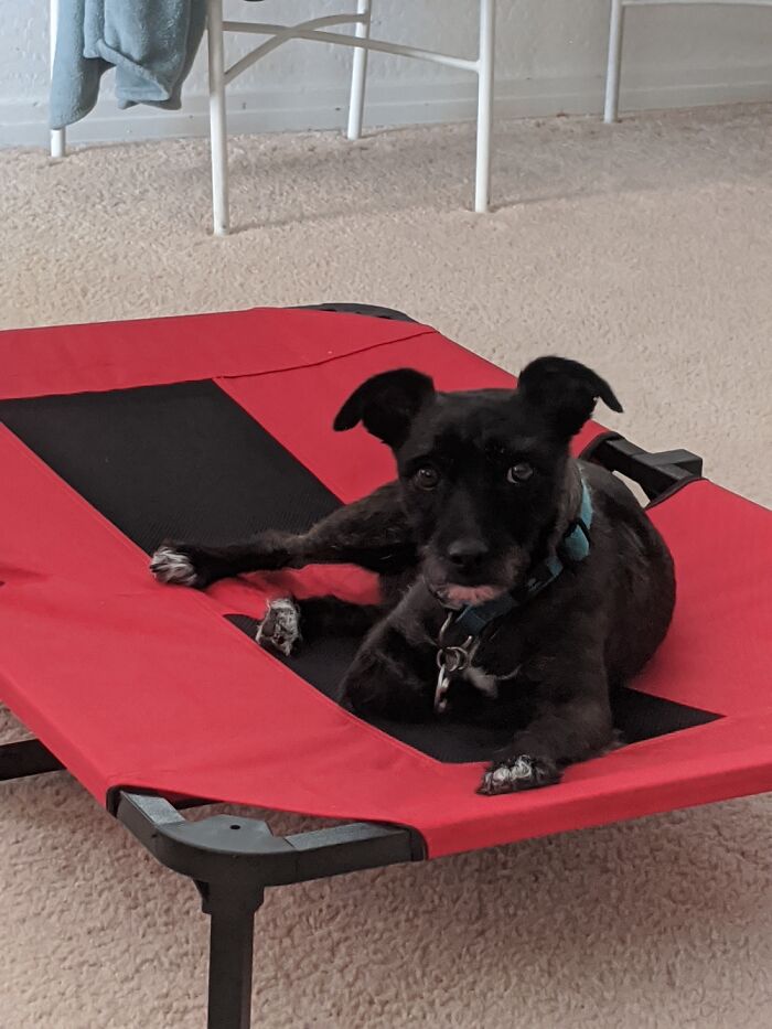 Gumball-Laid Back Dudw