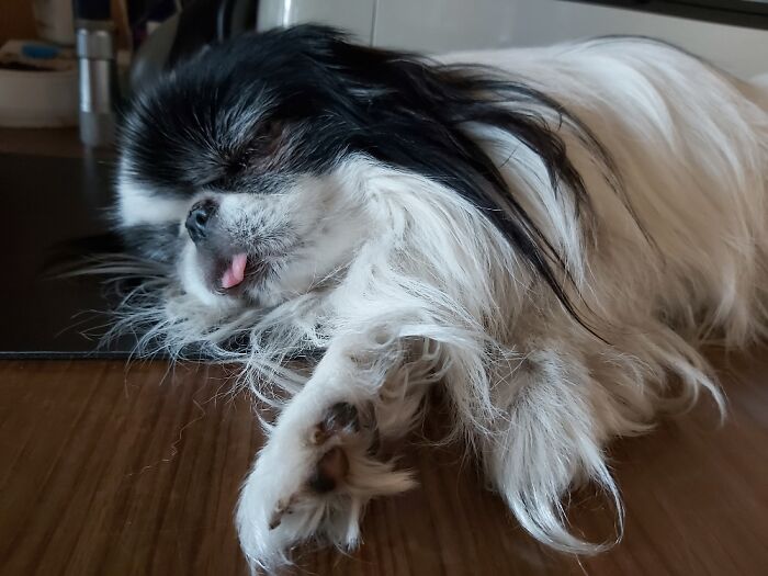 Completely Out On The Table