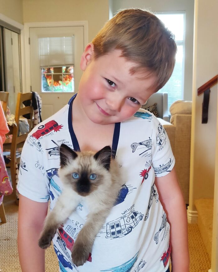 My Son Abaolutely In Love With His New Kitten