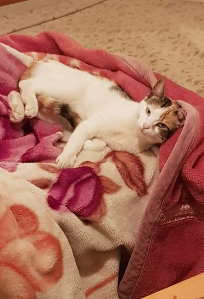 Fortouna Is A Naughty But Beautiful Beast