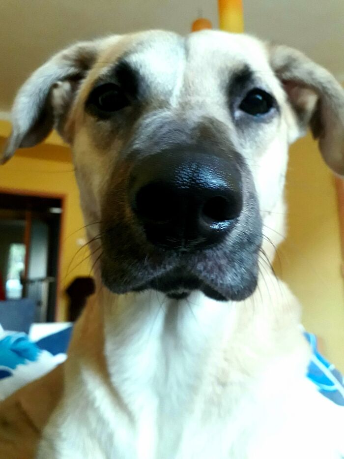 Lara Has Even Made A Selfie, Just In Case