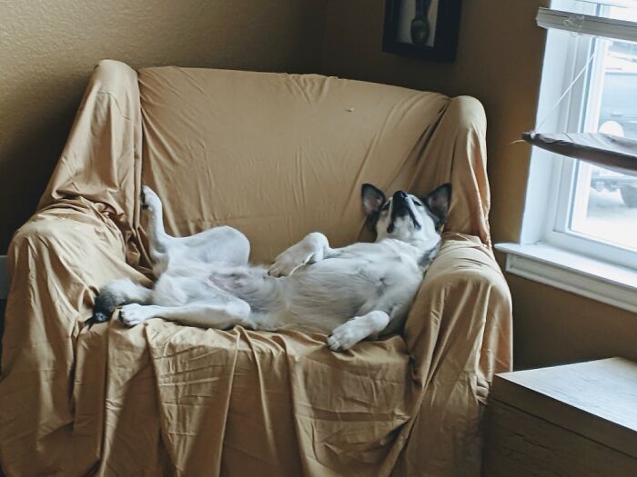 He Has The Strangest Sleeping Positions