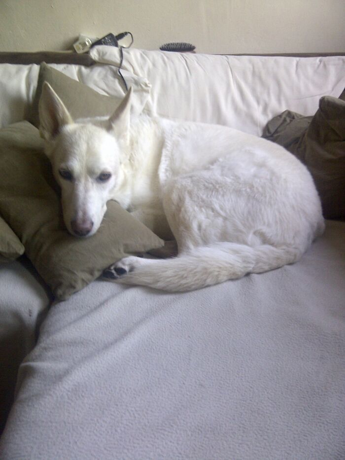 She Will Always Be The Best Little Spoon.