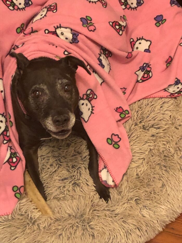 Good Morning! This Is Miss Merry Christmas.