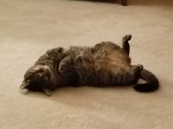 Like This... All... The... Time... No Shame!