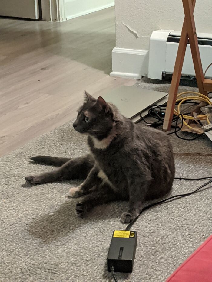 Distracted By Mom's Food