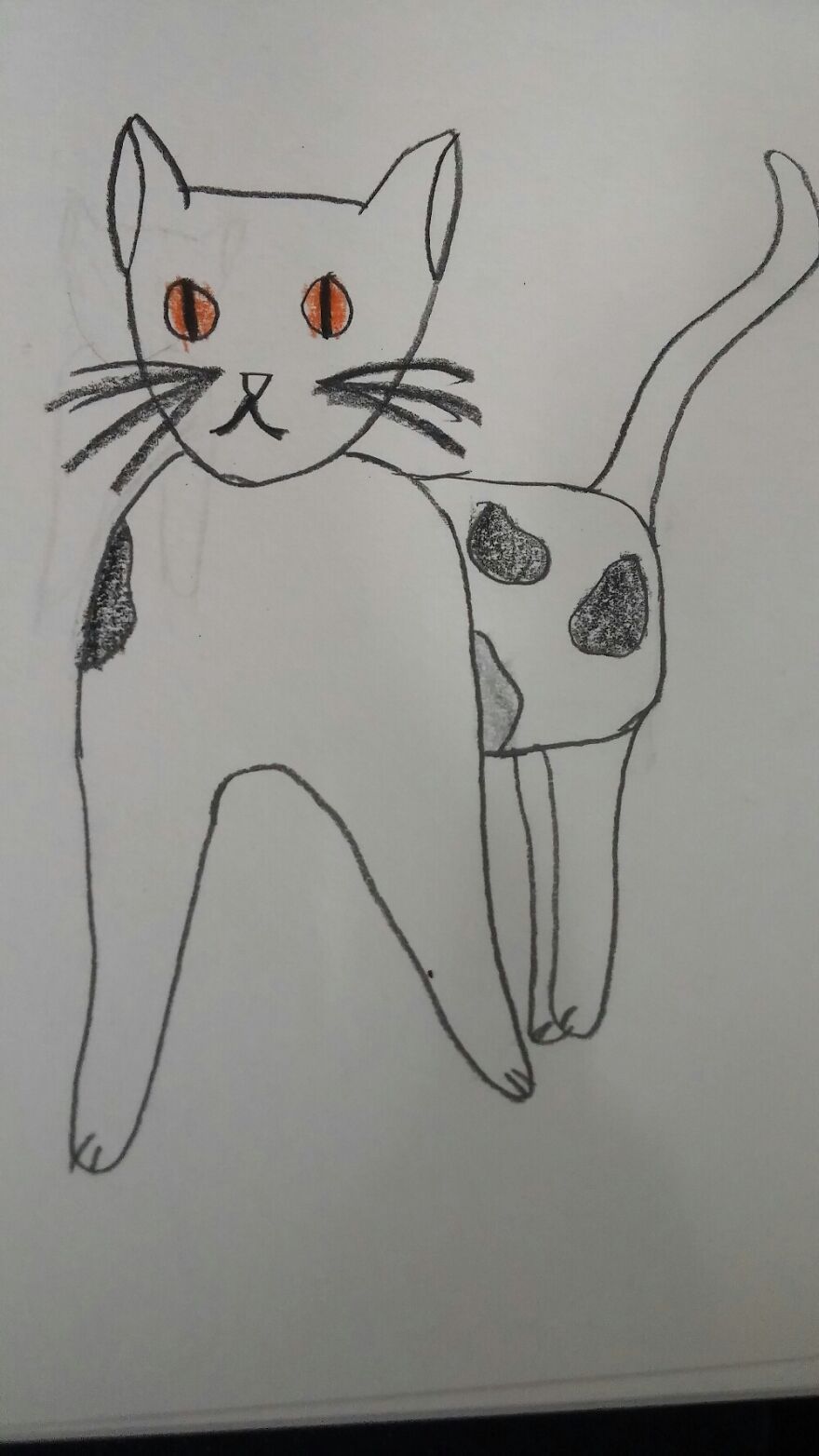 A Friend's Warriors Character, Snowyshadow