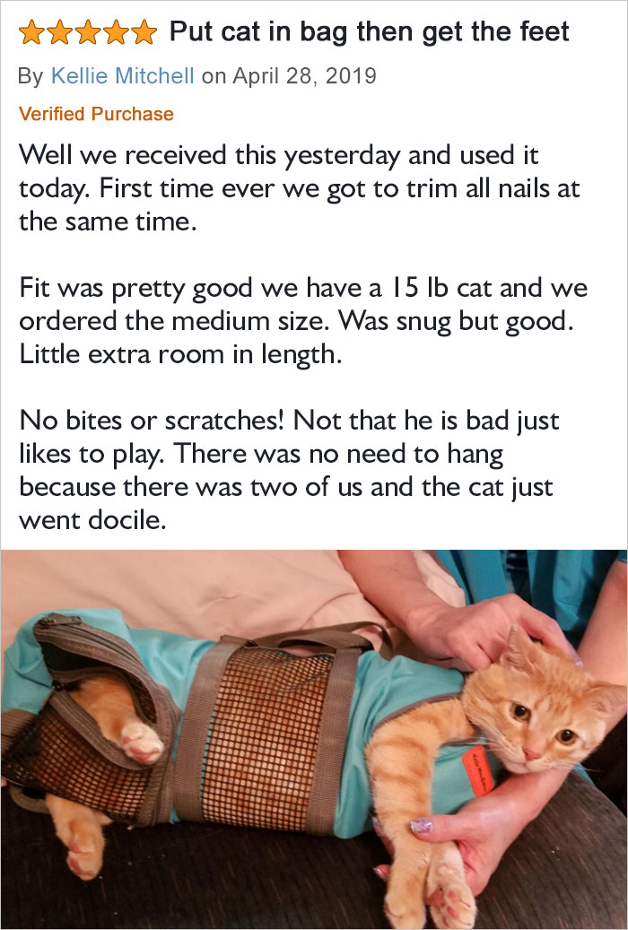 No Bites Or Scratches! Not That He Is Bad Just Likes To Play