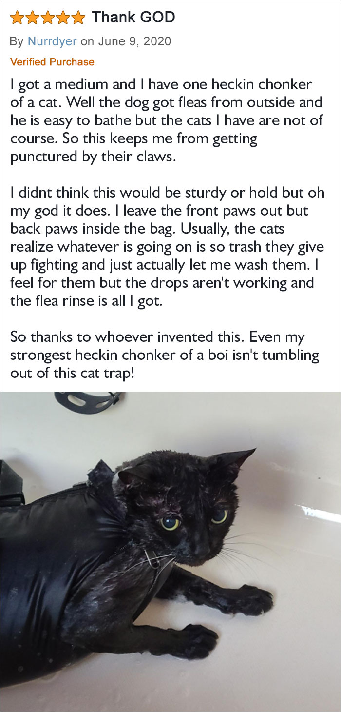 So Thanks To Whoever Invented This. Even My Strongest Heckin Chonker Of A Boi Isn't Tumbling Out Of This Cat Trap!