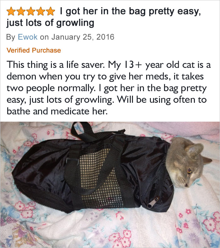 I Got Her In The Bag Pretty Easy, Just Lots Of Growling