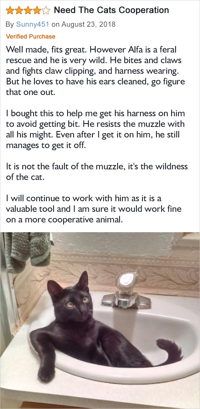 It Is Not The Fault Of The Muzzle, It's The Wildness Of The Cat