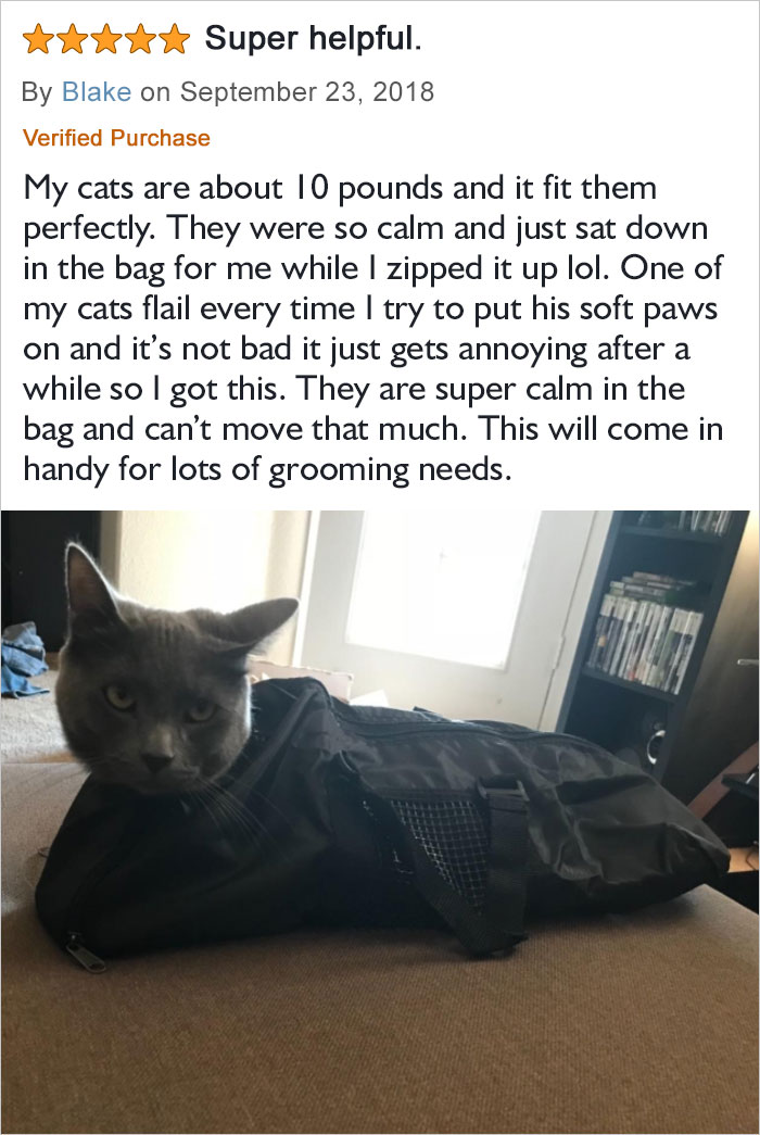 They Are Super Calm In The Bag And Can’t Move That Much